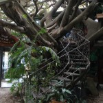 Costa Rican Egress