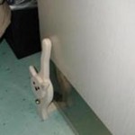 Kitty Wedge