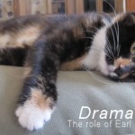 Dramatization - The role of Earl played by Lisa.